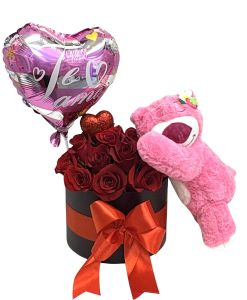 diseno-sin-titulo-24